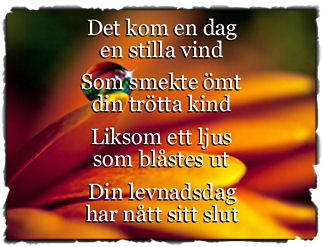 Dikt till morfar