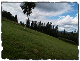 Jungfrukällan