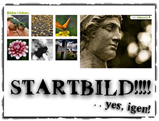 Startsidebild igen