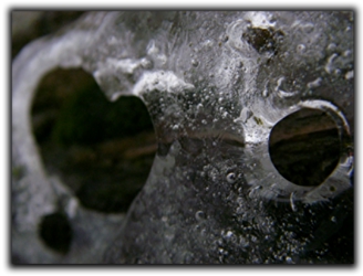 Frost