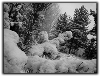 Snöbollskrieg