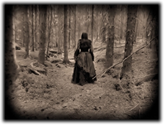 Into the woods