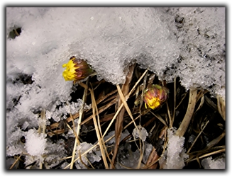 Snö igen