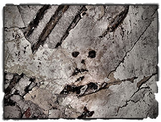 The face in the wall