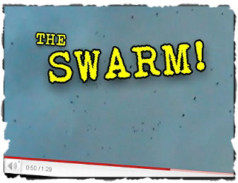  The swarm 