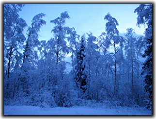 Midwinter