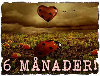 Sex månader tillsammans
