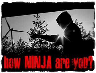 How ninja are you?