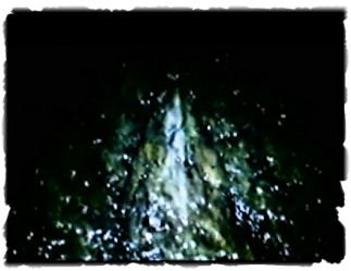 Kyckling eller alien?