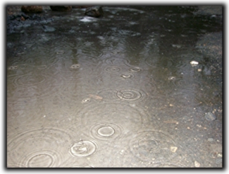 Rain