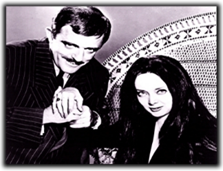  Addams 