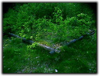 Back to nature