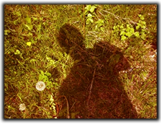 Shadow