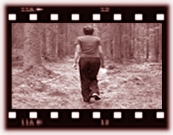 Into the woods