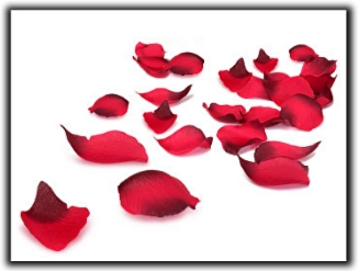 Bed of roses